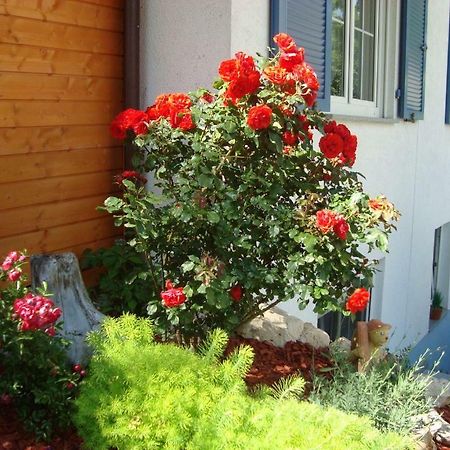 Ferienwohnung Weiser Крессбронн-ам-Бодензе Екстер'єр фото