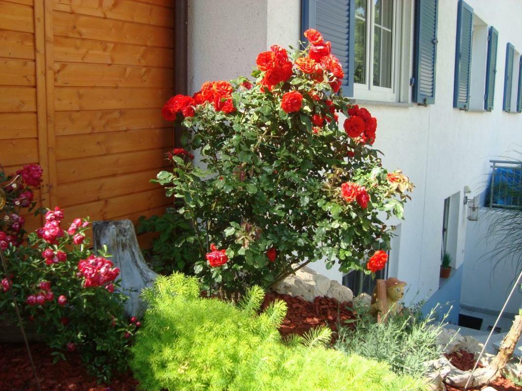 Ferienwohnung Weiser Крессбронн-ам-Бодензе Екстер'єр фото